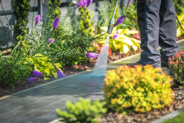  , VA Pressure Washing Pros